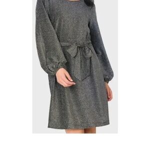 Gibsonlook chic Silver Dress